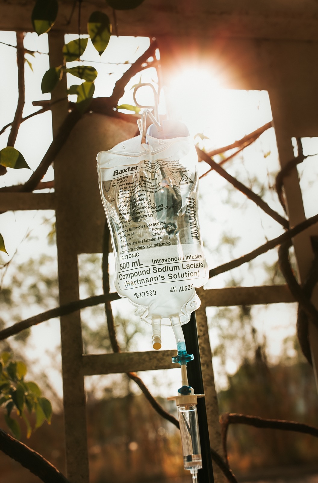 IV drip stand in natural light